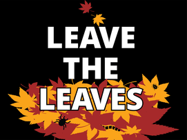 Leave the Leaves